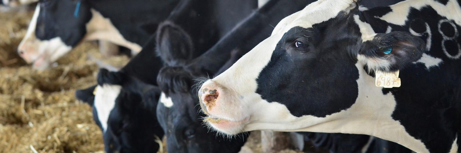 Dugdale Nutrition banner