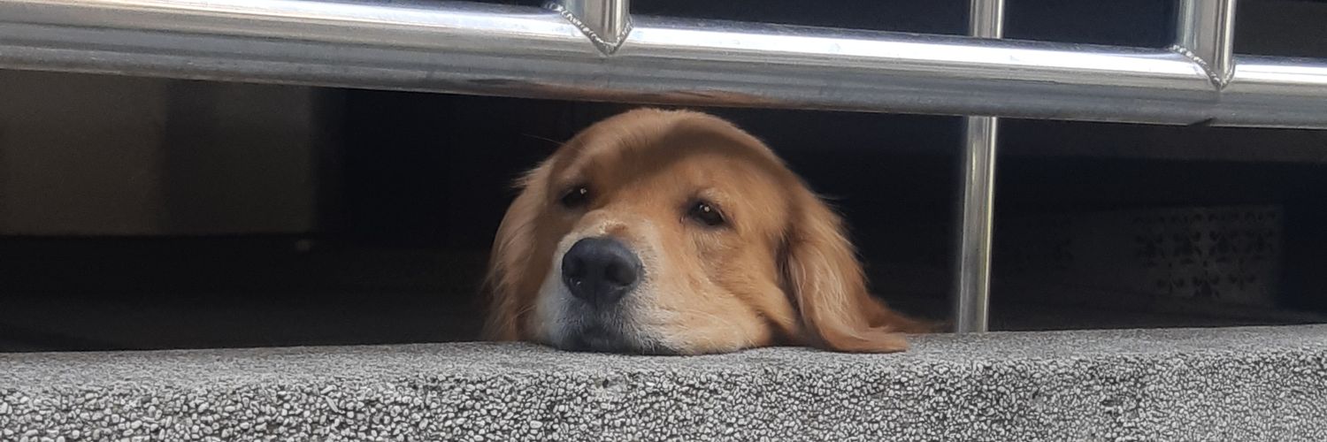 bigboyRylle's profile banner image