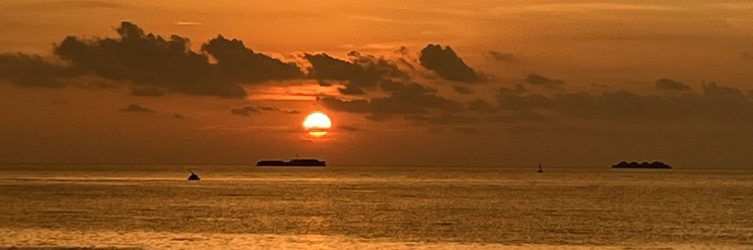 its looking spic¥ banner