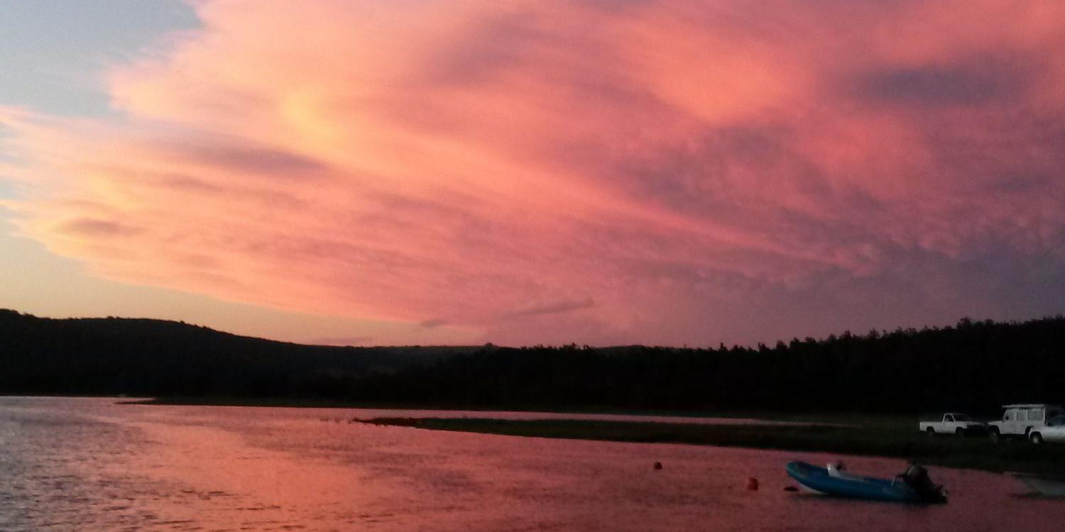 Dylan Mattison banner