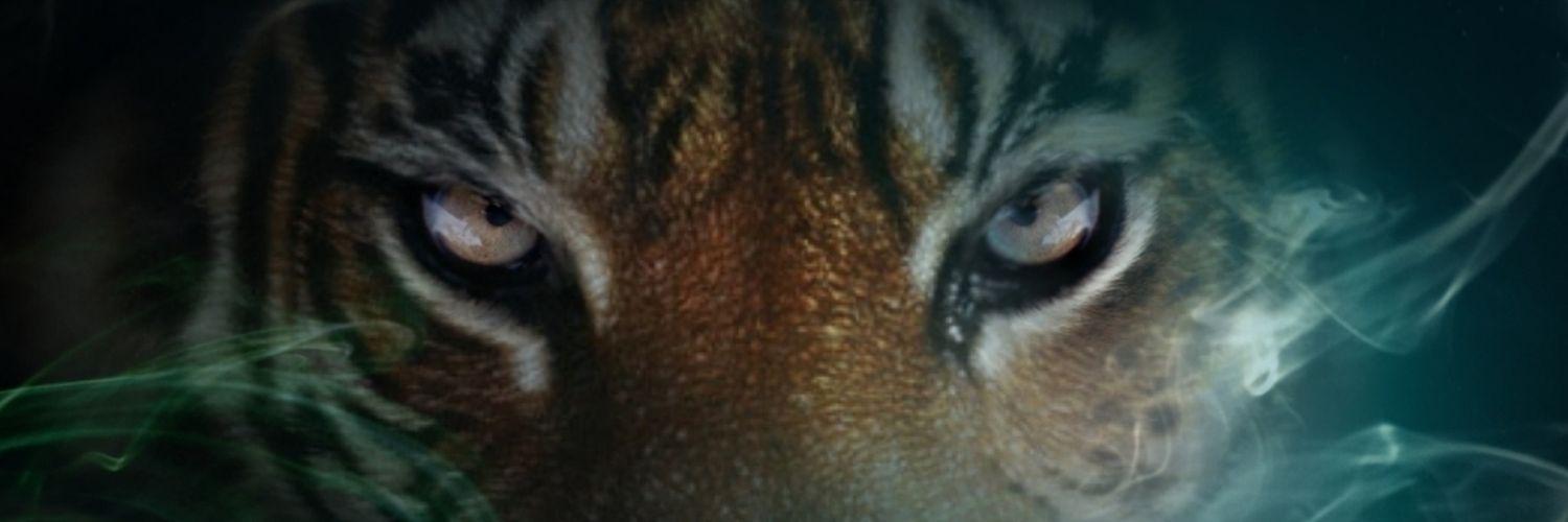 RealAnthonyCook's profile banner image