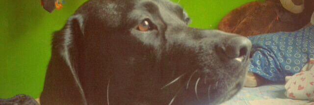 24Sory07's profile banner image