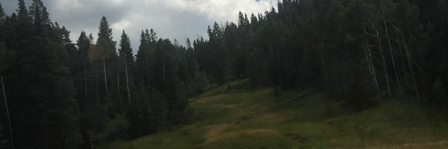 BjBlakeley's profile banner image