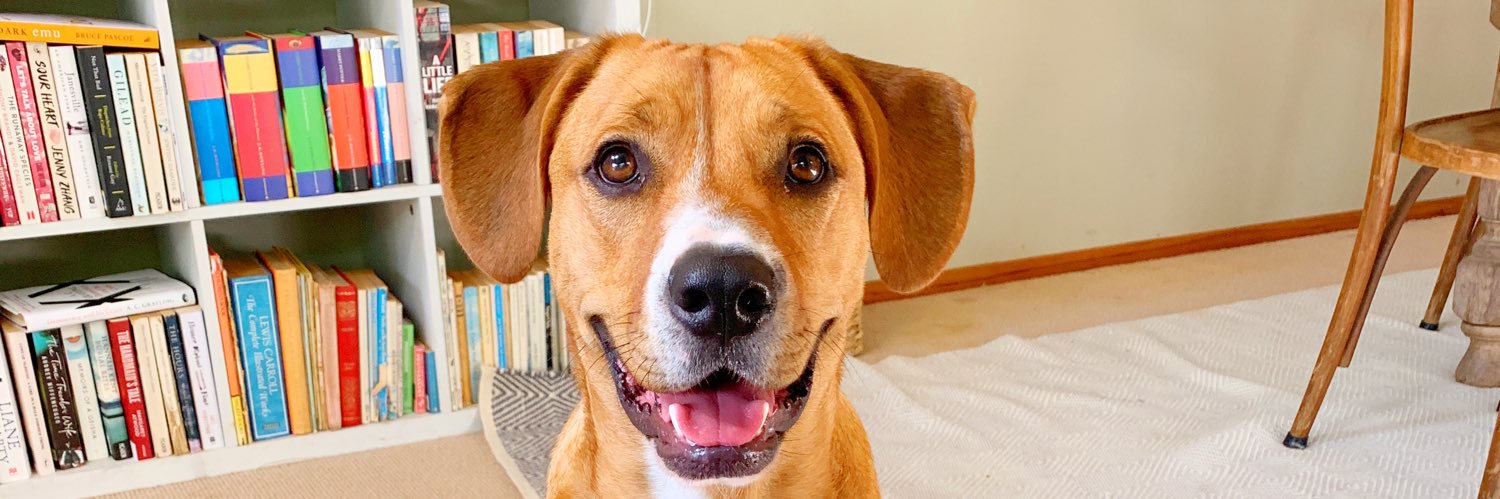 Troy Rawhiti-Connell banner