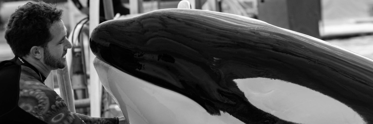 antoniodelfines's profile banner image
