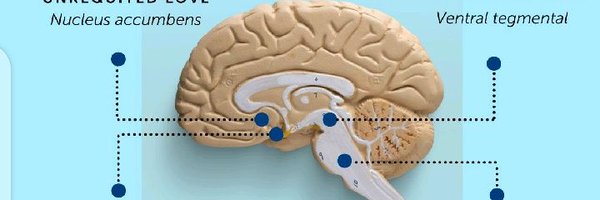 arskyoola Profile Banner