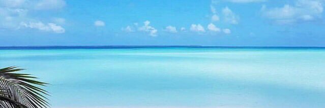 vanderleav_'s profile banner image