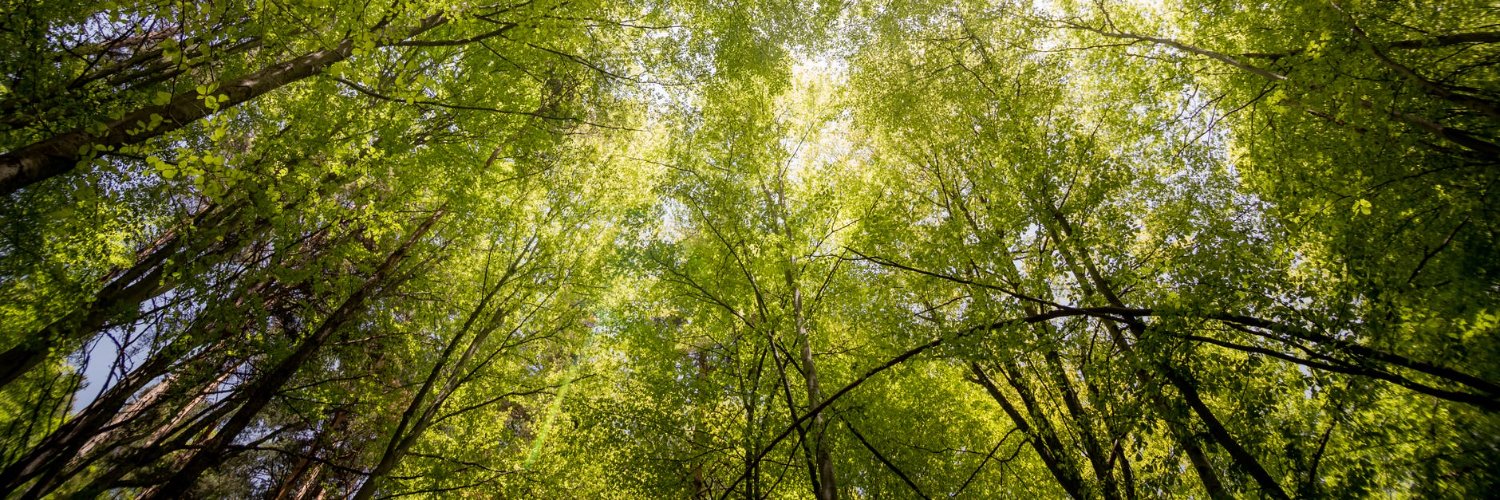 UN Environment Programme (UNEP) Europe 🌱's banner