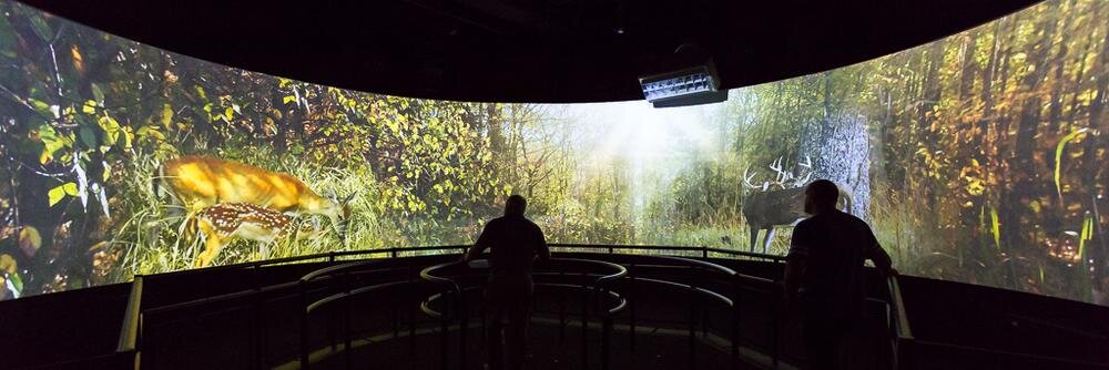 RLMG (Richard Lewis Media Group) banner