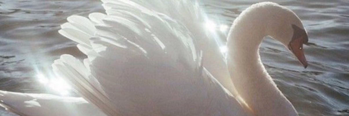 مُرشدة سياحية /أسماء العنزي banner
