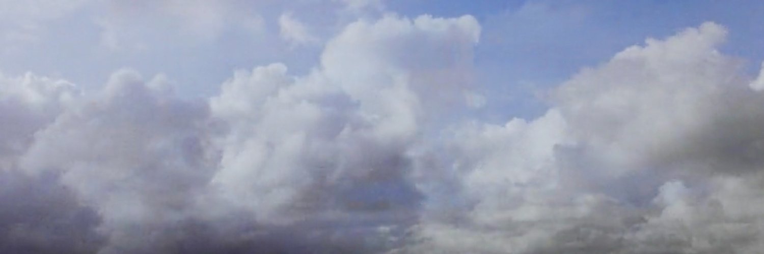 ZoyaBee's profile banner image
