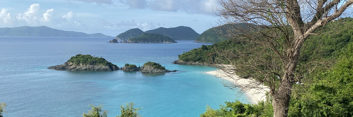 Incognito 🫣 banner