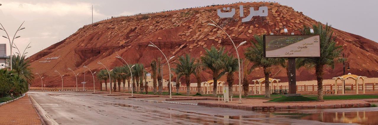 محمد عبدالله الروضان banner