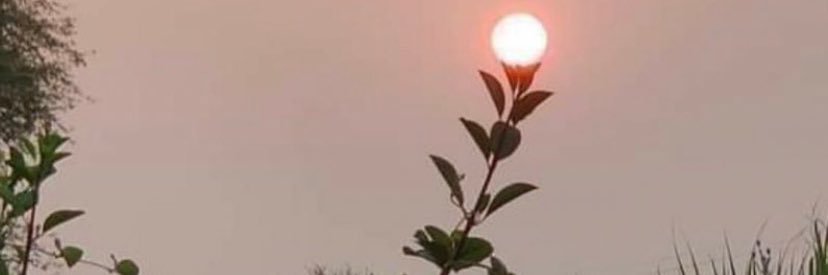 Binesh Kumar Chaudhary banner