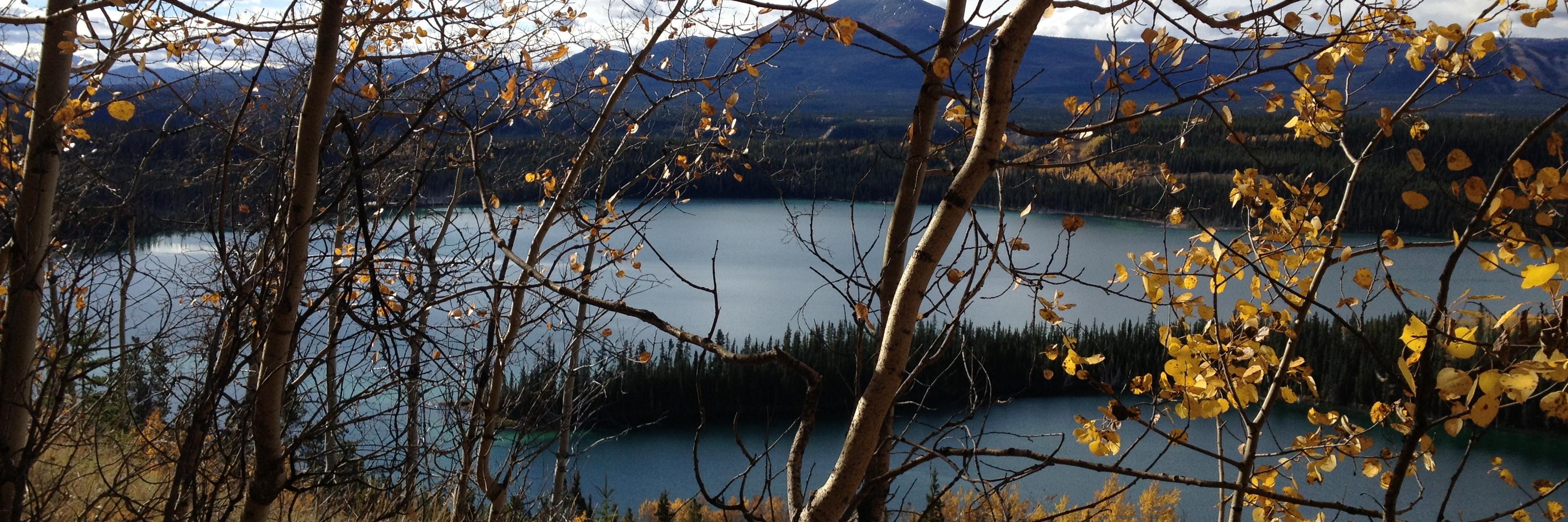NancyThomsonCBC's profile banner image