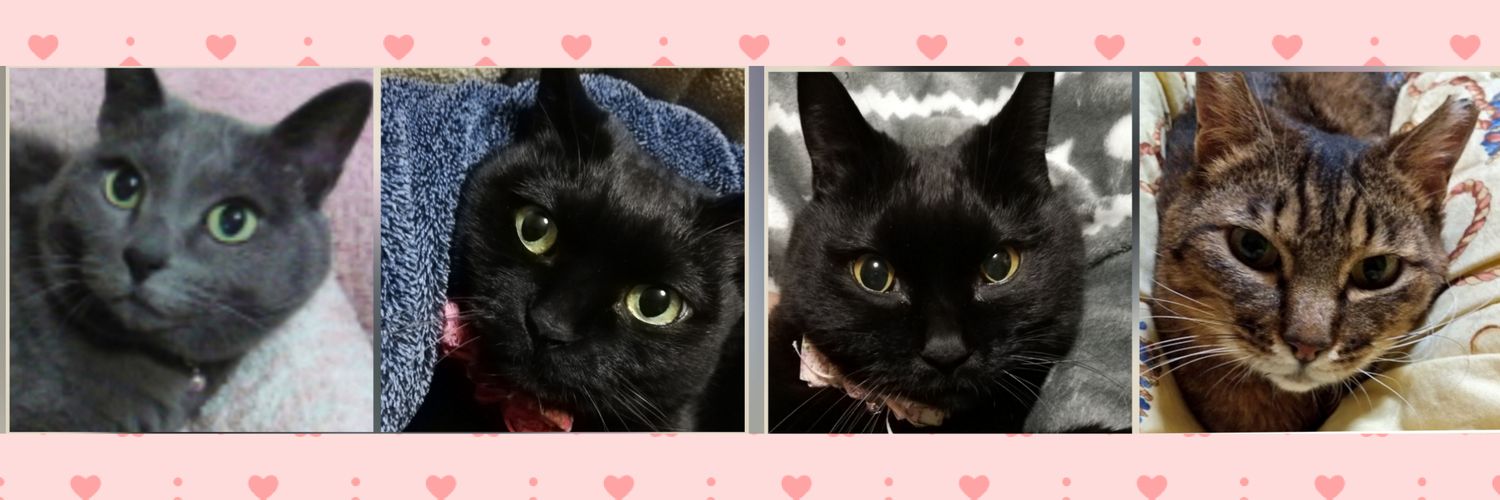 purinou's profile banner image
