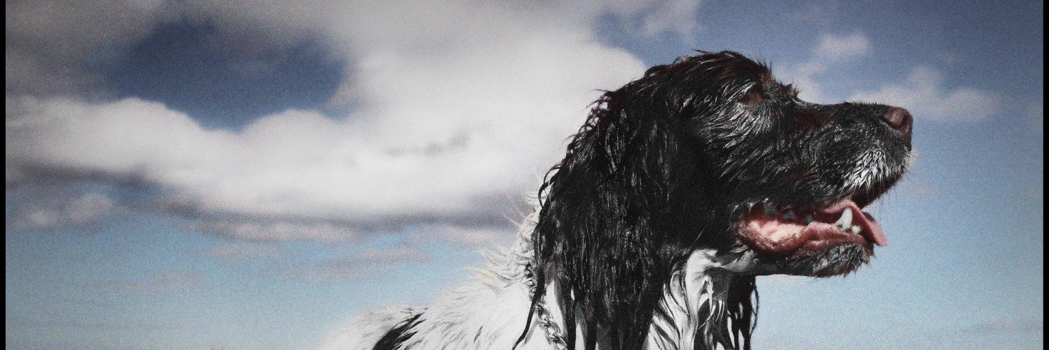 TheCadenElliott's profile banner image