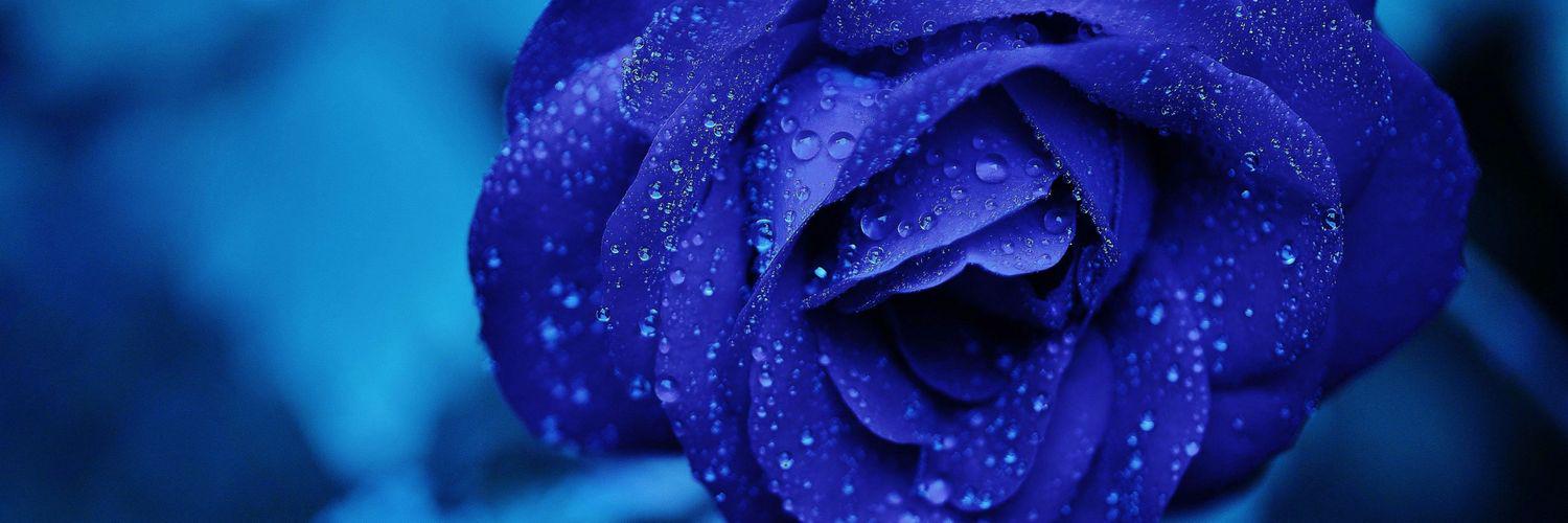 anas_jboor's profile banner image