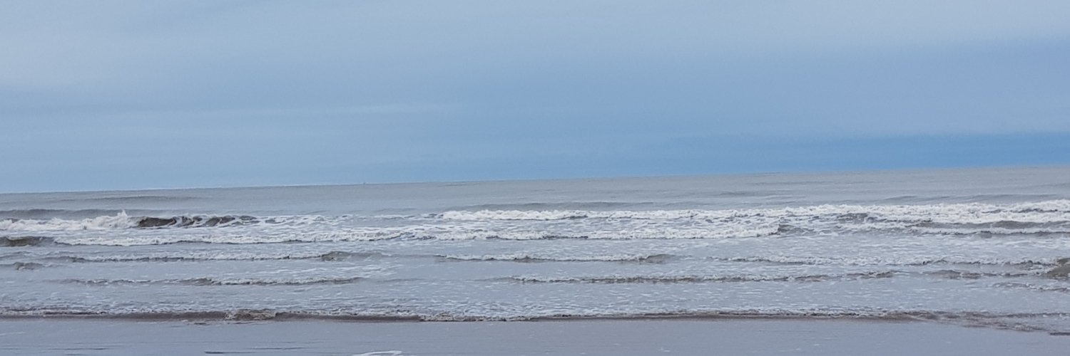 Victoria Spillane banner