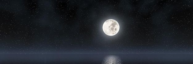 JamalNur banner