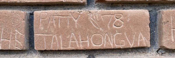 WiteSpider Profile Banner