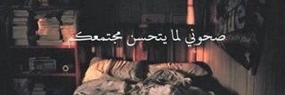 fo2_sh's profile banner image
