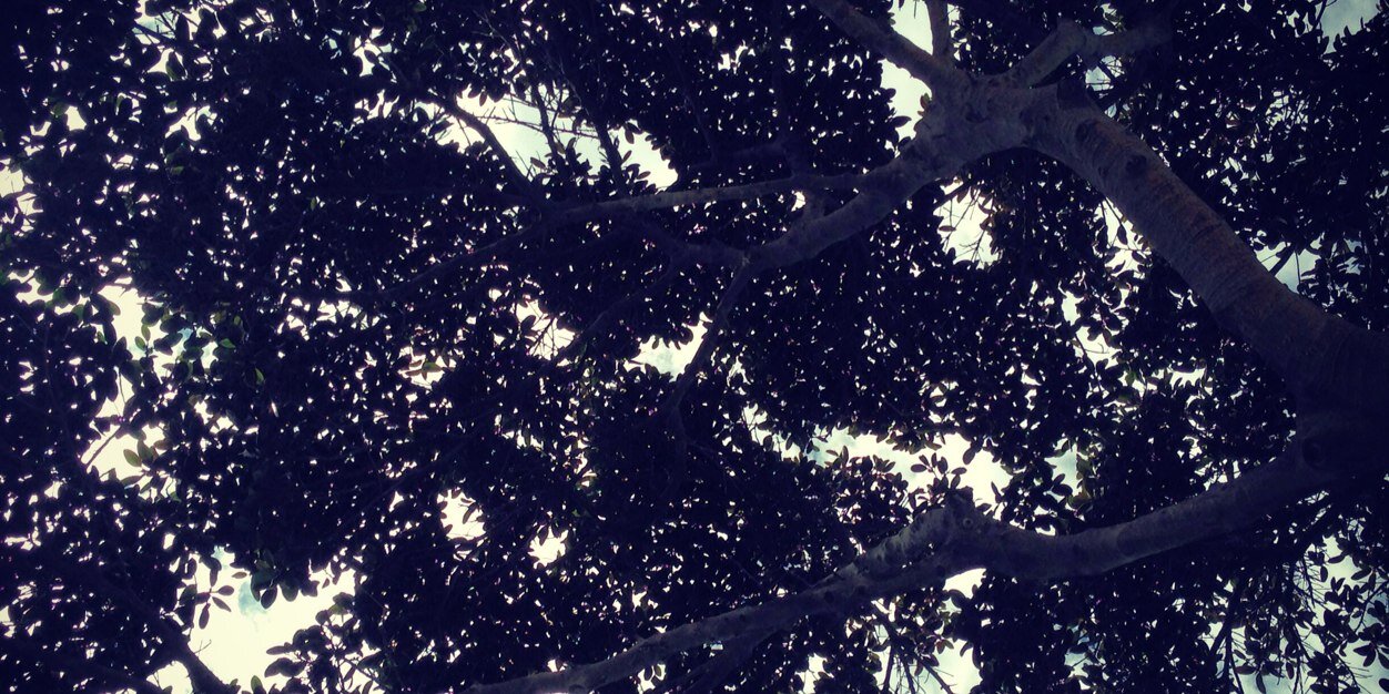 PunkerJuan's profile banner image