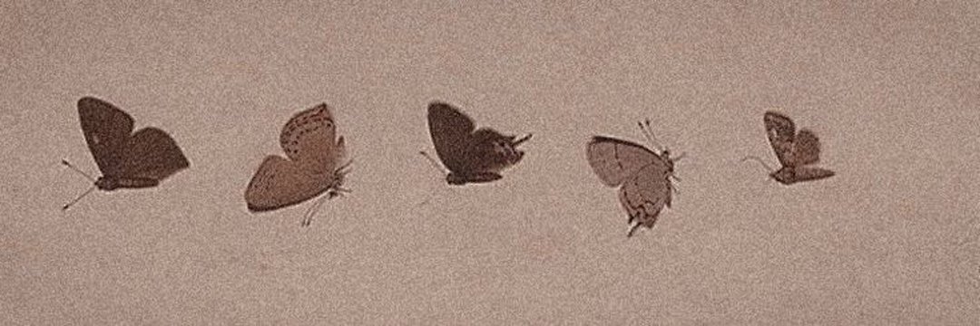 Nineziks's profile banner image