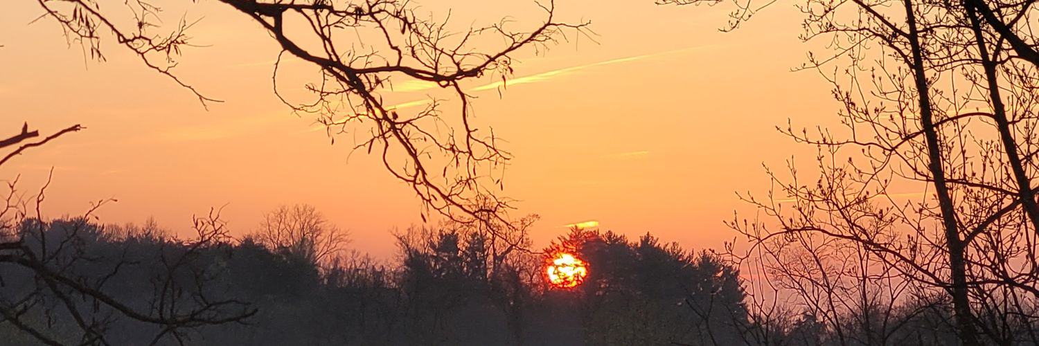 wisegrl74's profile banner image