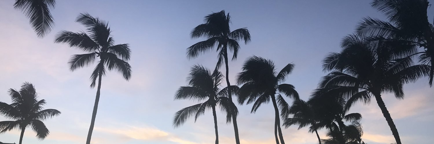 ElDunerino's profile banner image