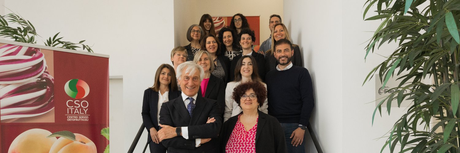CSO Italy banner