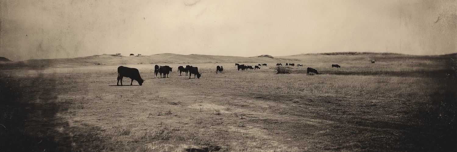 Fred Skillet Riley banner