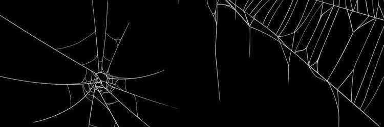 chelspire's profile banner image