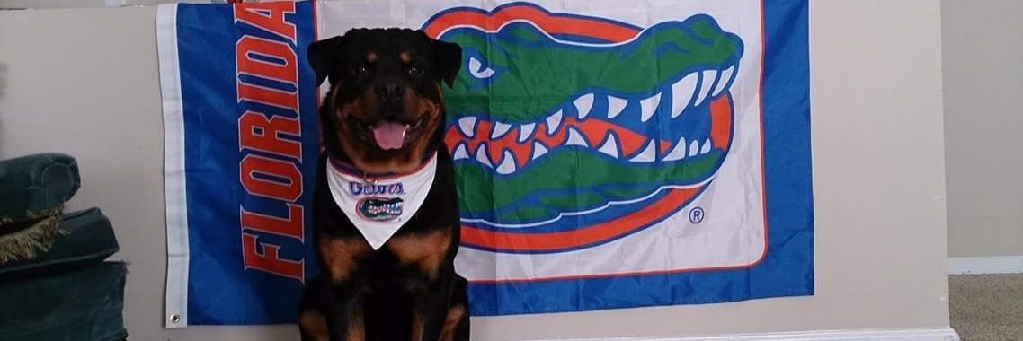 Joshua Denmark banner