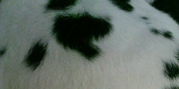 PepaElo_Rodr's profile banner image
