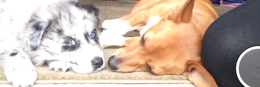 carsonass's profile banner image