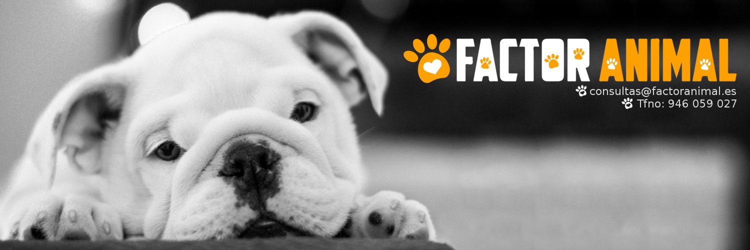factor_animal's profile banner image