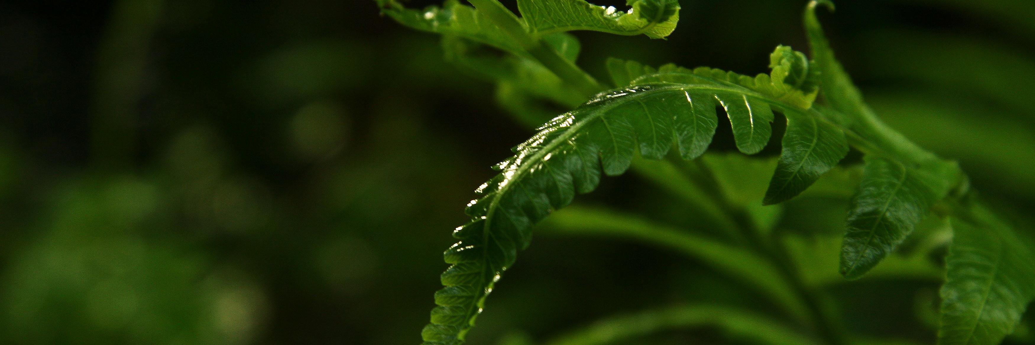 GrowBalance's profile banner image