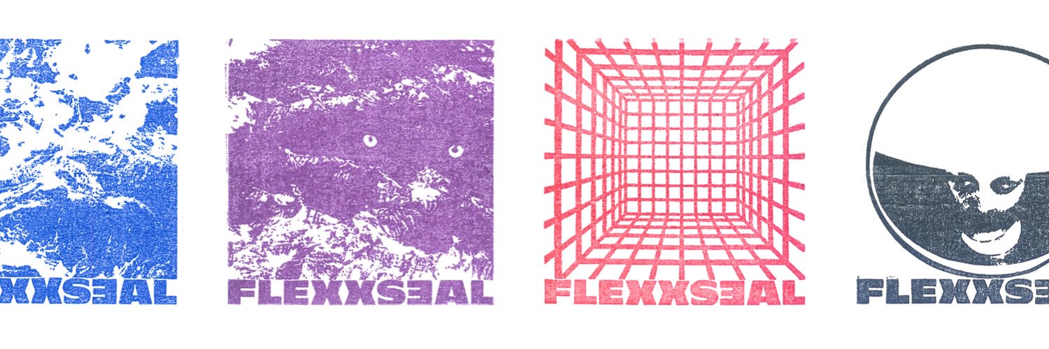 flexxseal banner