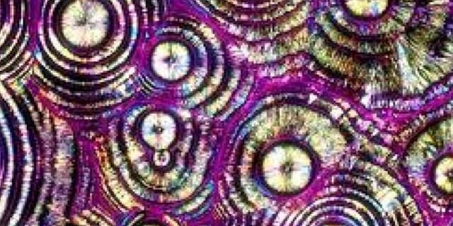EnanusPorretus's profile banner image