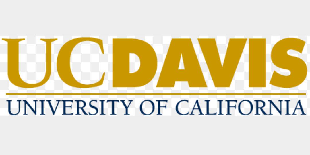 UCD Triathlon banner