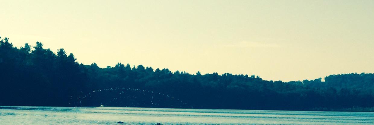 MonstaZy's profile banner image
