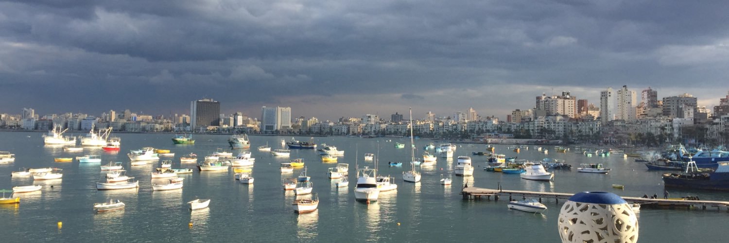 ShereenaHussein's profile banner image