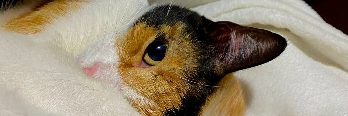 facase90's profile banner image