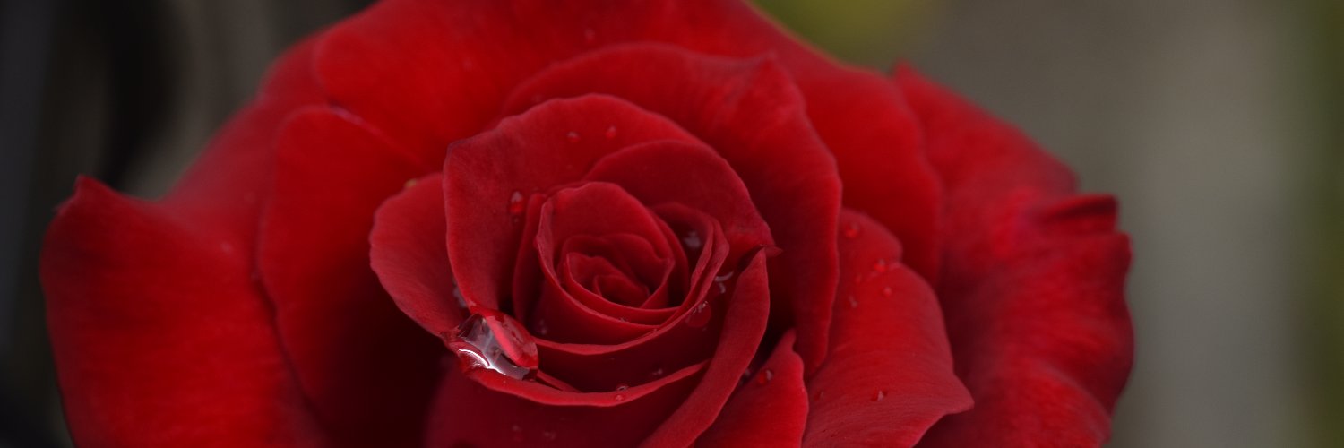 distant_drums04's profile banner image