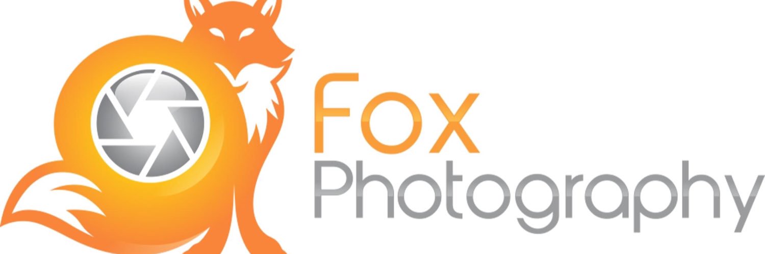 ✨Aireon✨🦊 banner