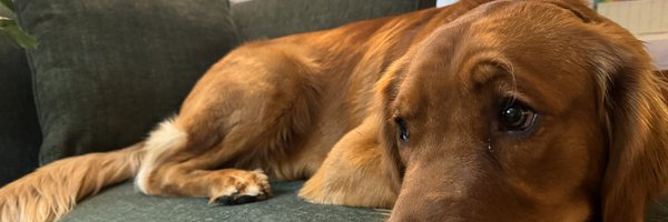 BradyStrachan Profile Banner