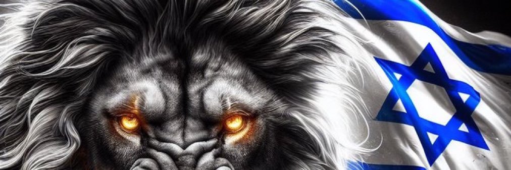 LSalsy's profile banner image