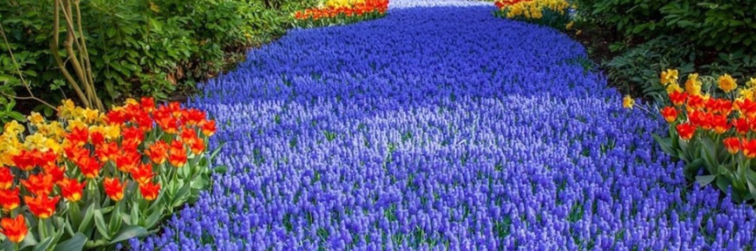 FrequentTweeter's profile banner image