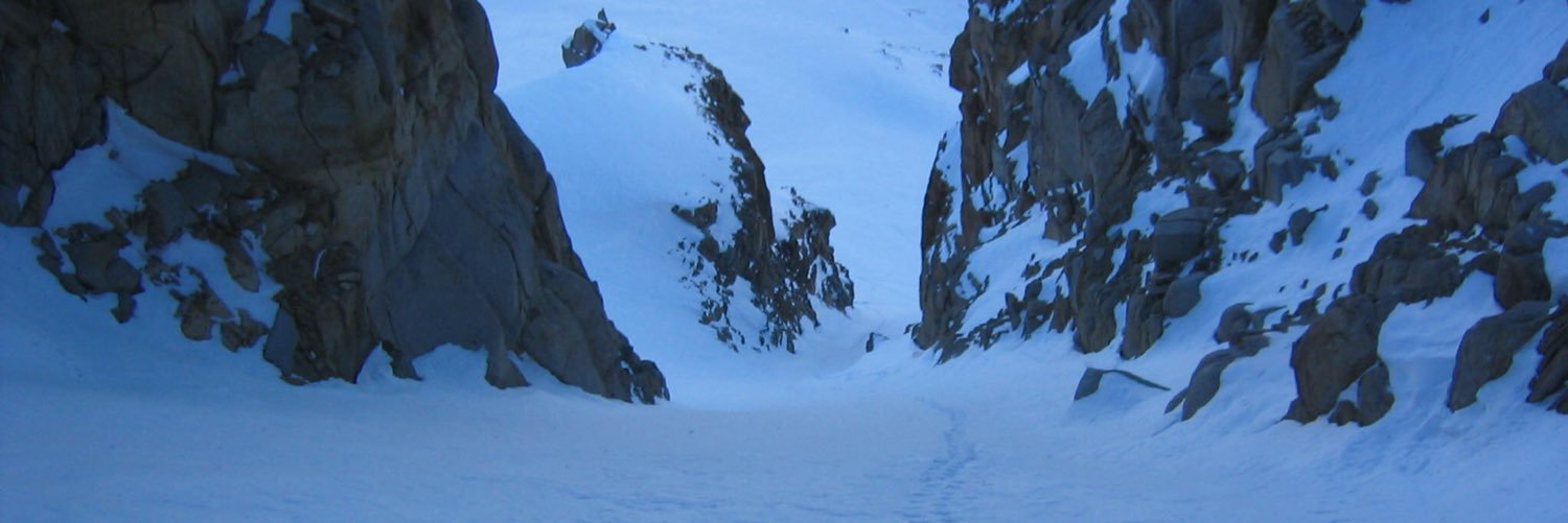 Amir Khosrowshahi banner